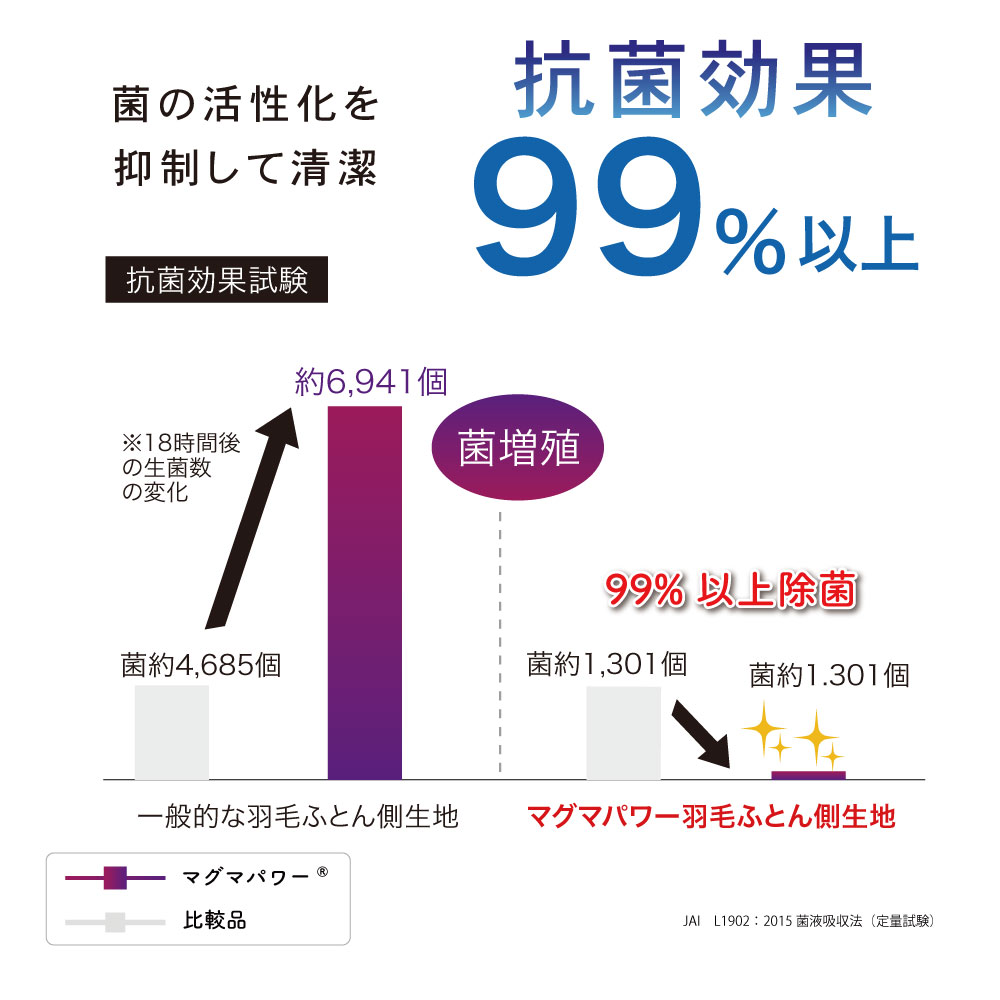 マグマパワー羽毛ふとん